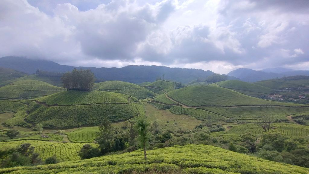 Lockhart Gap Road Munnar