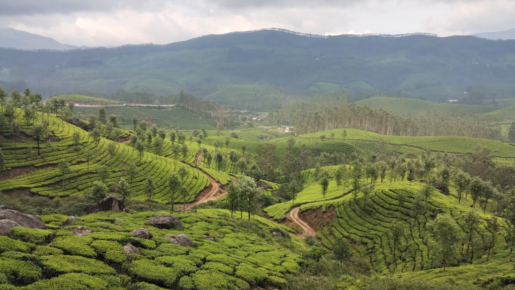 Lockhart Gap Road Munnar