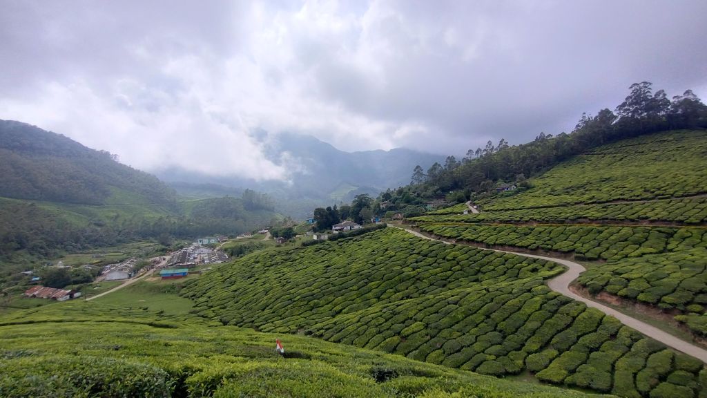 Scenic Munnar