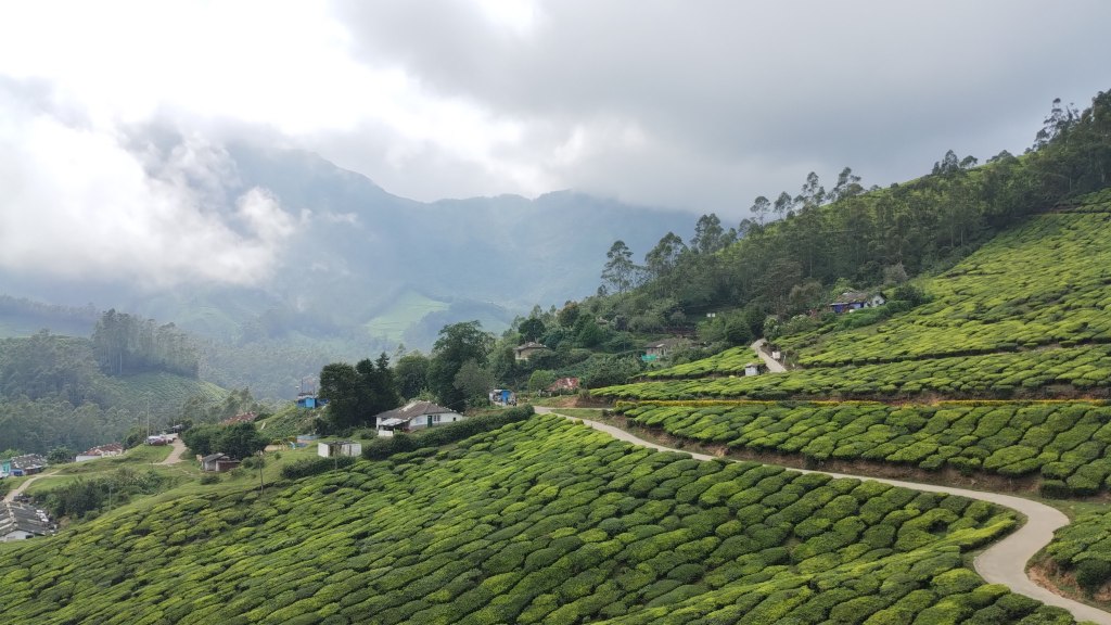 Munnar Sightseeing – The usual&nbsp;suspects