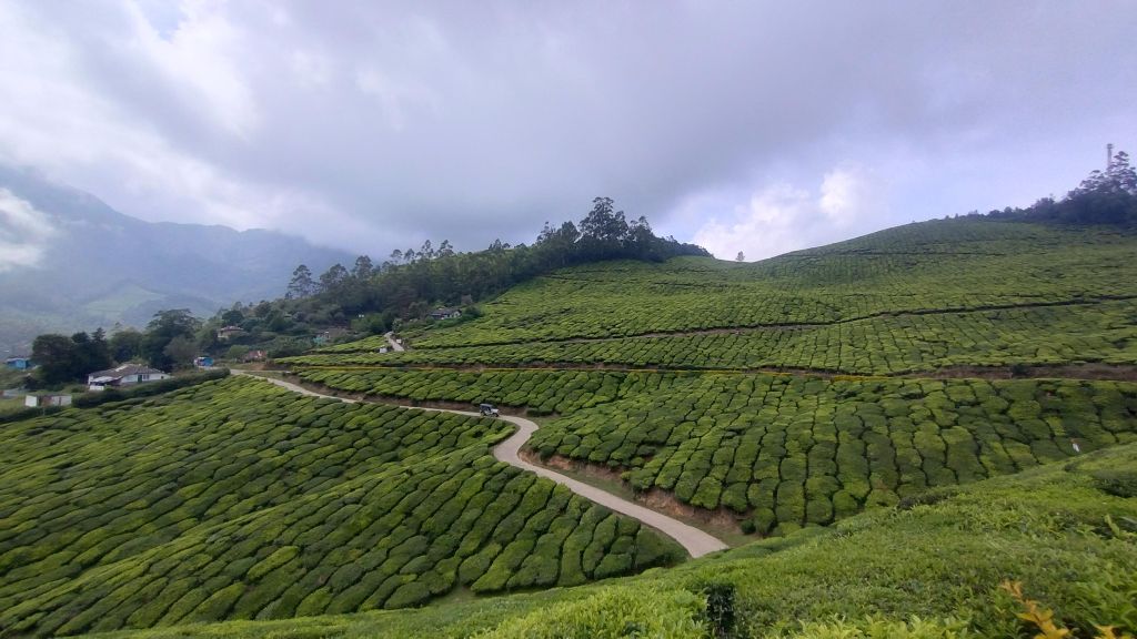 Breathtaking view of tea gardens Munnar Photo Point