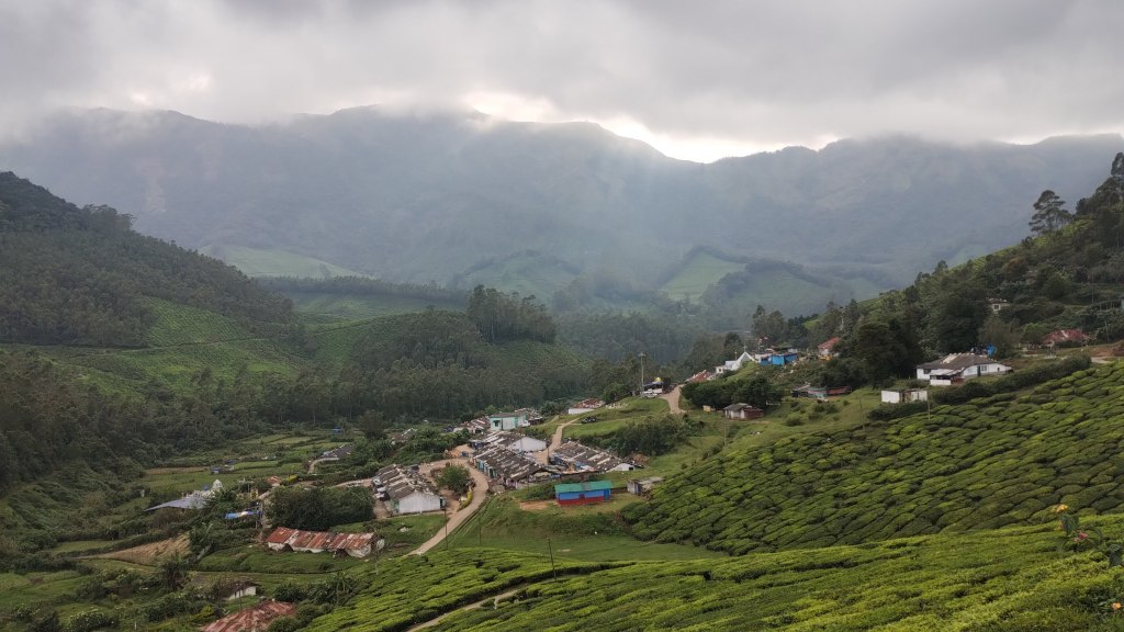 Scenic Munnar