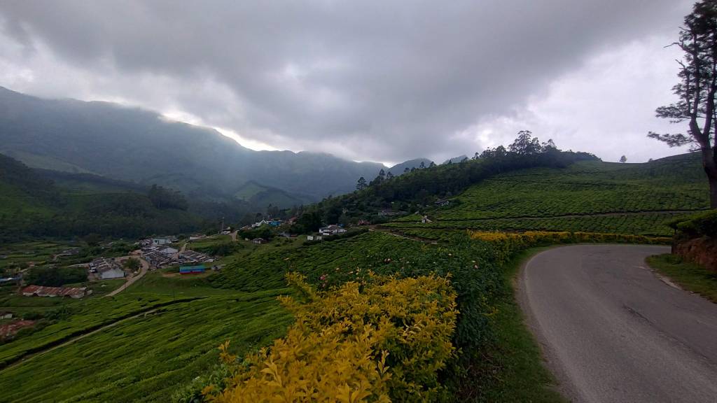 Scenic Munnar