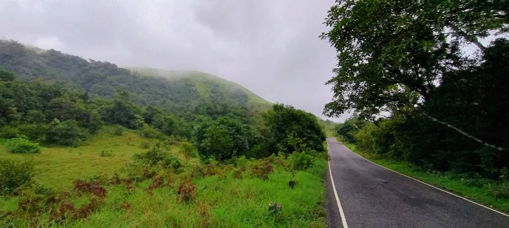 Kudremukh reserve, Karnataka