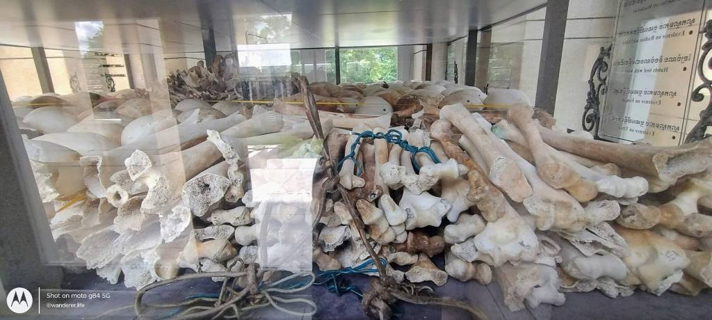 Killing fields Phnom Penh Cambodia