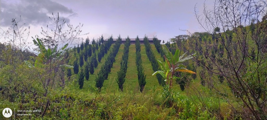 DT722 Da Lat vietnam