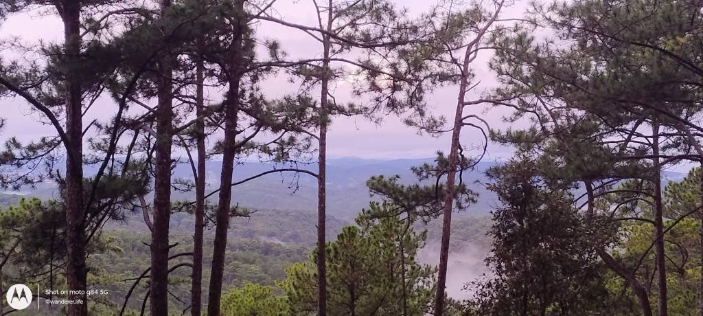 DT722 Da Lat vietnam